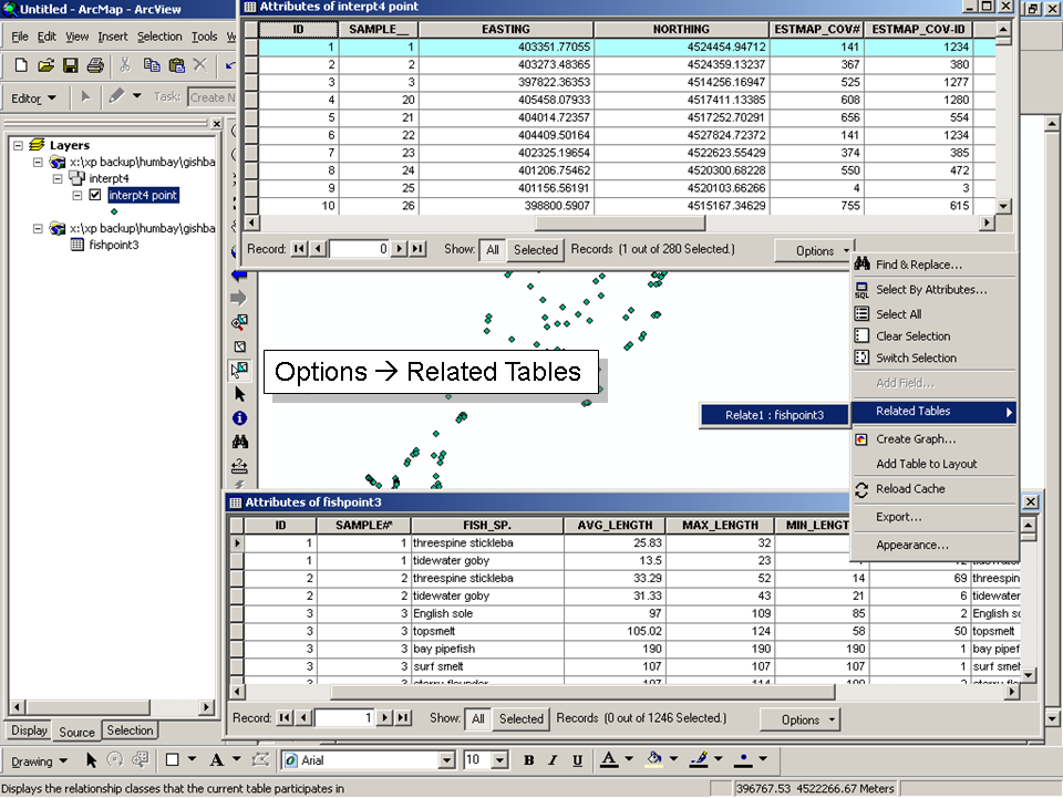 Related Tables